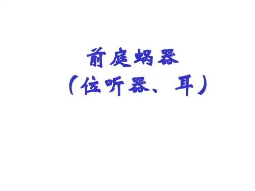 解剖学《前庭蜗器》课件