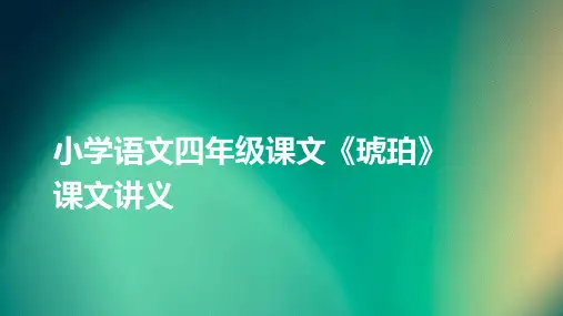 小学语文四年级课文《琥珀》讲义