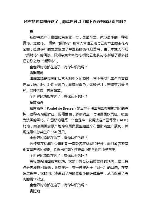 所有品种鸡都在这了，养鸡户可以了解下看看有你认识的吗？