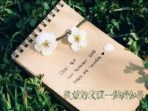 小学五年级“朋友”话题作文PPT 课件