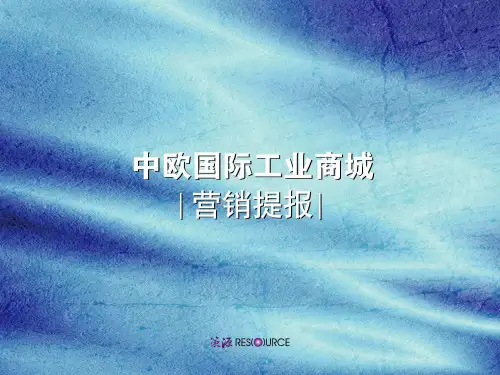 中欧国际工业商城营销案例分析