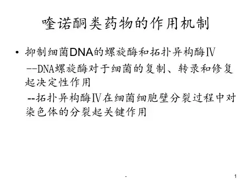 喹诺酮类抗菌药PPT课件