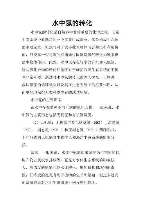 水中氮的转化
