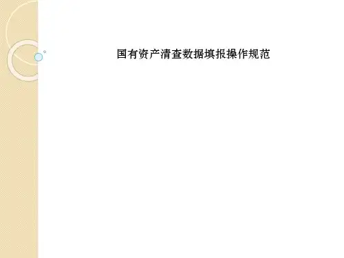 国有资产清查数据填报操作规范