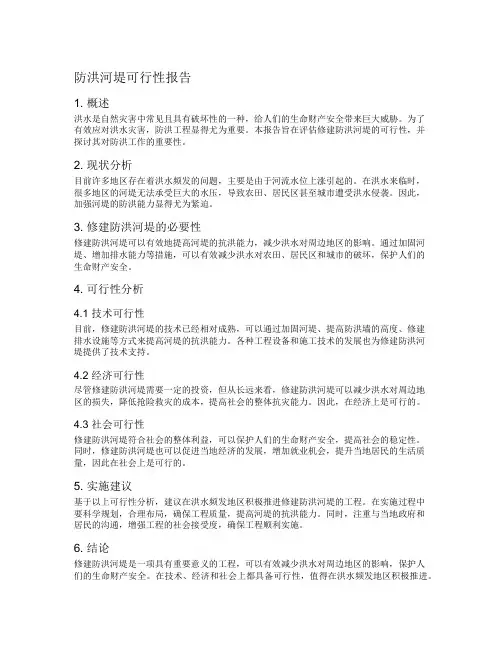 防洪河堤可行性报告