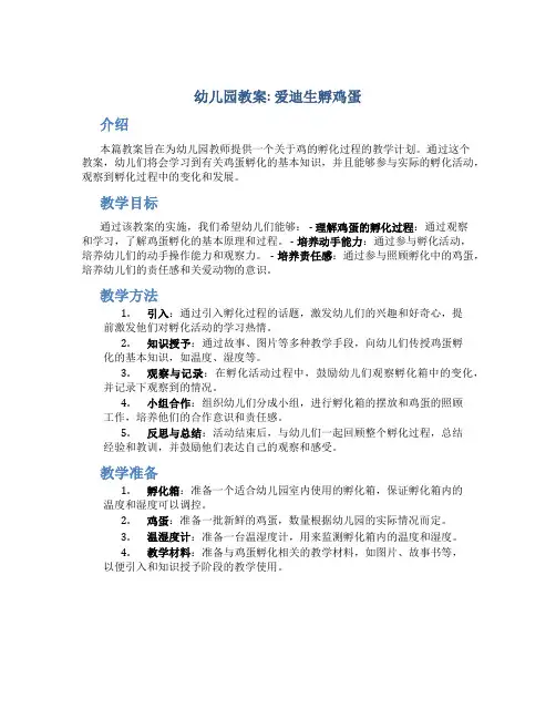 幼儿园教案爱迪生孵鸡蛋