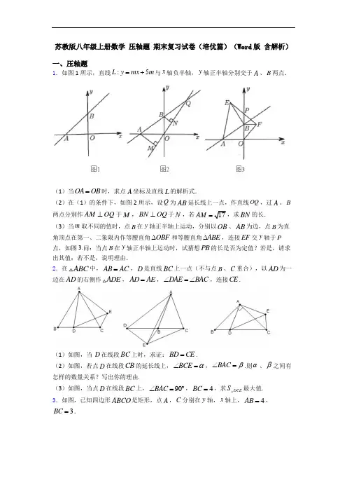 苏教版八年级上册数学 压轴题 期末复习试卷(培优篇)(Word版 含解析)