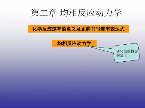 化学反应工程课程第二章均相反应动力学