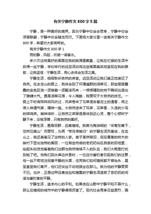 有关宁静作文800字5篇