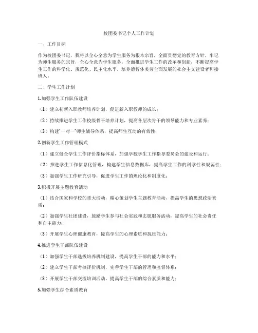 校团委书记个人工作计划