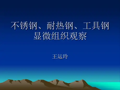 不锈钢耐热钢工具钢显微组织观察-3.