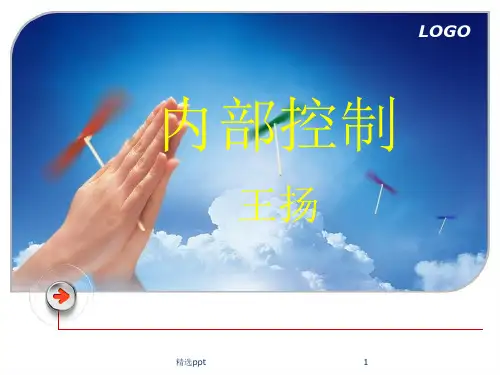 内部控制课件第三课PPT课件