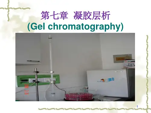 生物制药工艺学  7凝胶层析