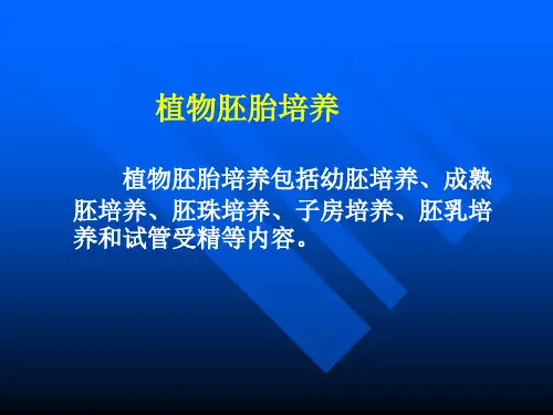 植物胚胎培养