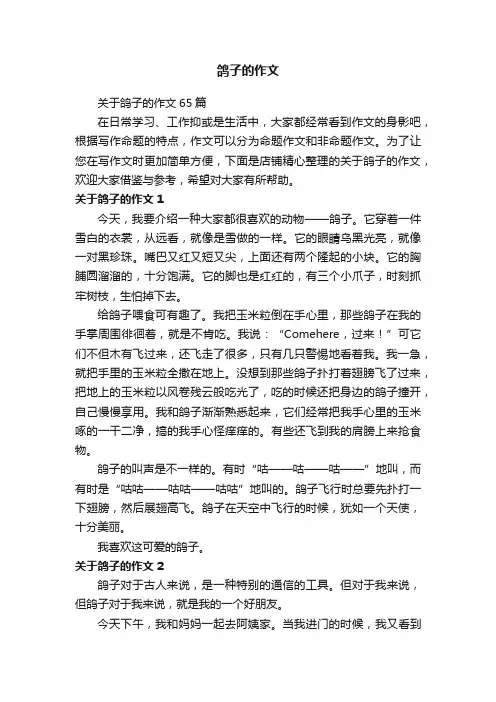 鸽子的作文