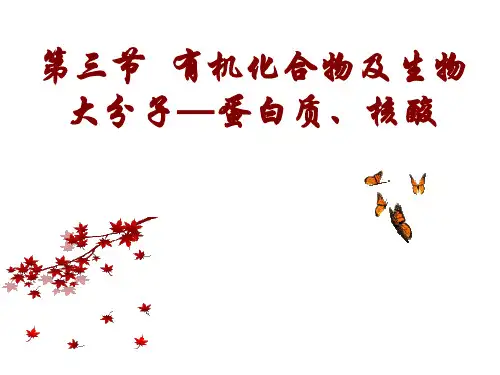 浙科版高中生物必修一第一章第3节蛋白质