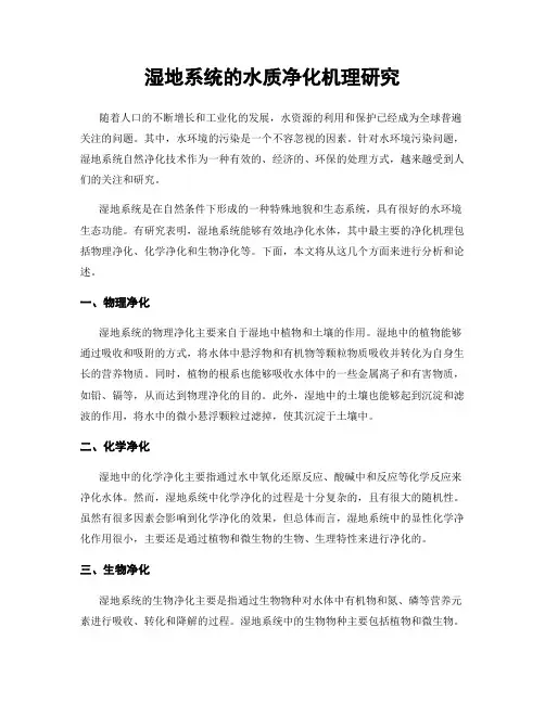 湿地系统的水质净化机理研究