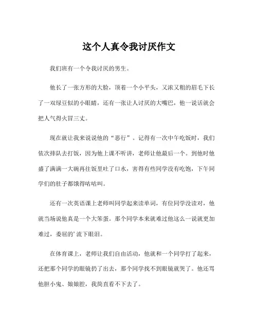这个人真令我讨厌作文
