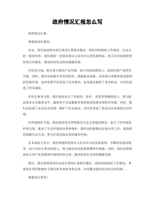 政府情况汇报怎么写