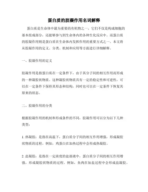 蛋白质的胶凝作用名词解释