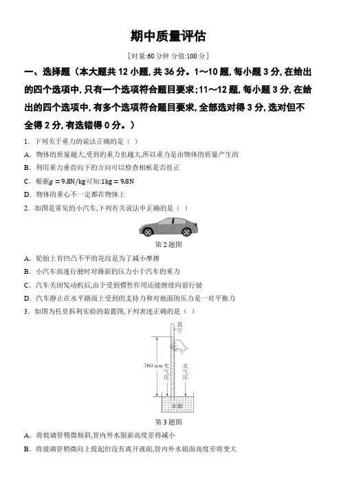 期中质量评估  2024-2025学年物理人教版八年级下册(含答案)