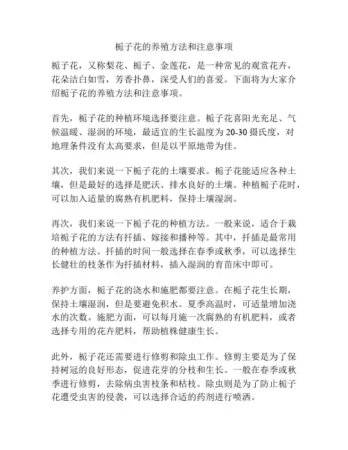 栀子花的养殖方法和注意事项