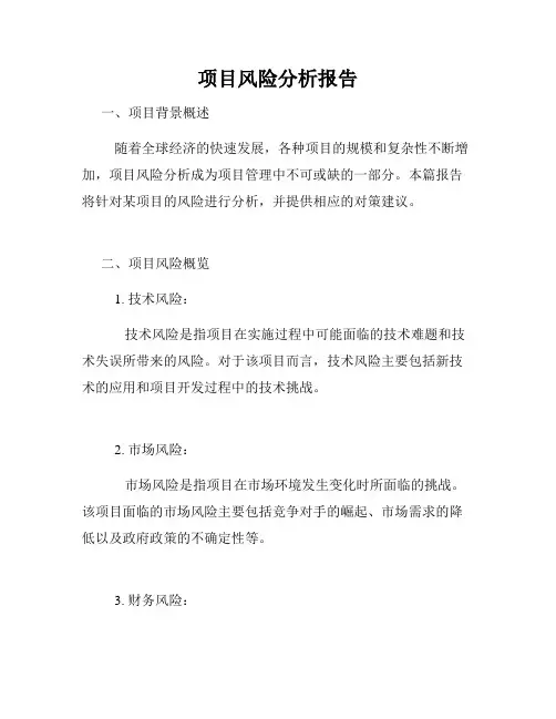 项目风险分析报告