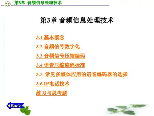 多媒体通信技术—— 音频信息处理技术.ppt