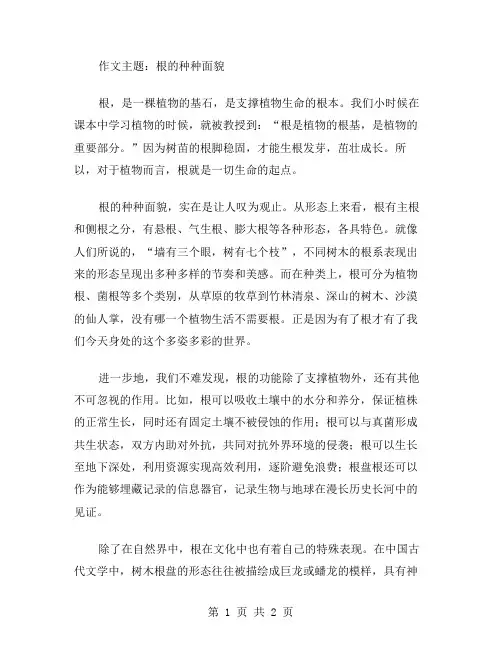 根的高中作文范文