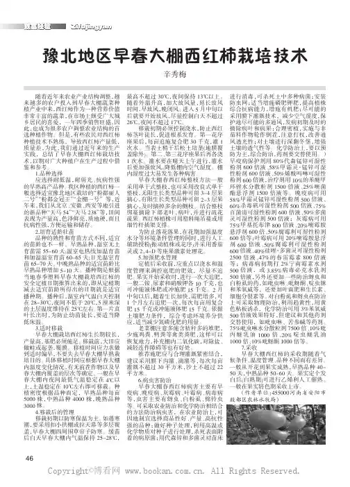 豫北地区早春大棚西红柿栽培技术
