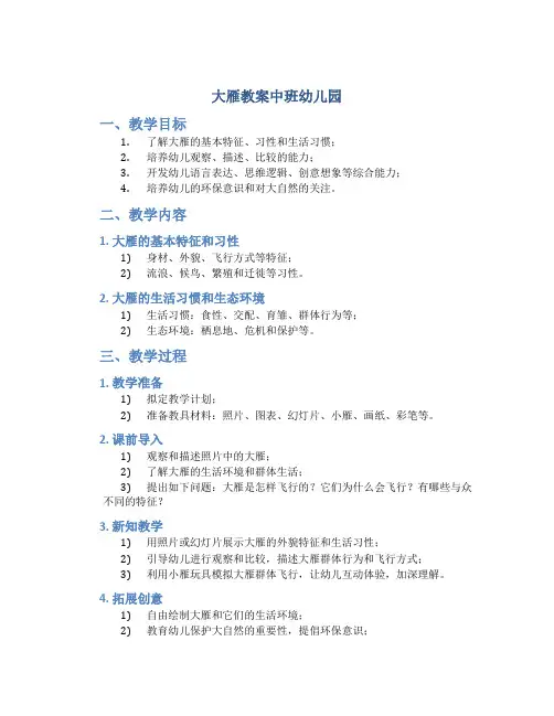 大雁教案中班幼儿园