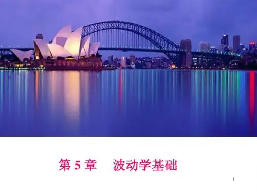 第5章波动学基础