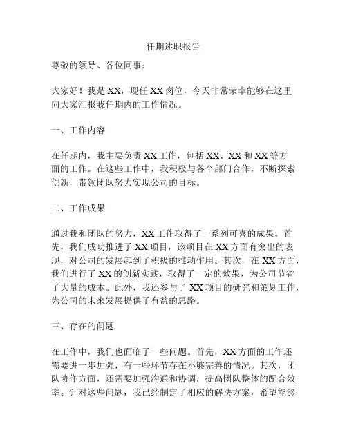 任期述职报告