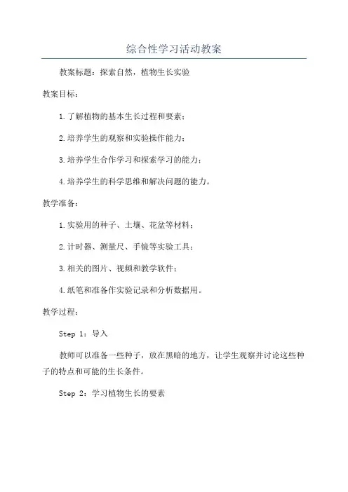 综合性学习活动教案