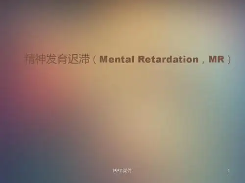 精神发育迟滞  ppt课件