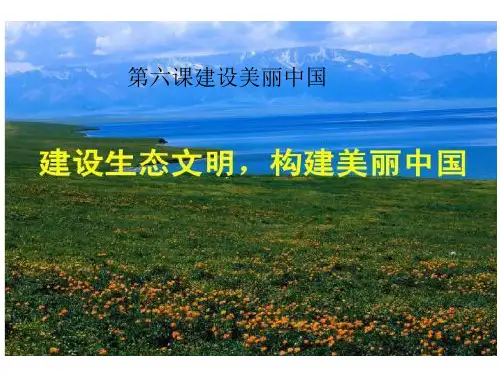 人民教育出版社九年级上册道德与法治第六课建设美丽中国专题复习