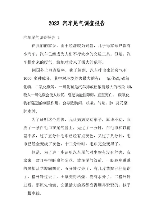 2023年汽车尾气调查报告