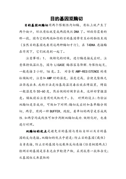 目的基因双酶切