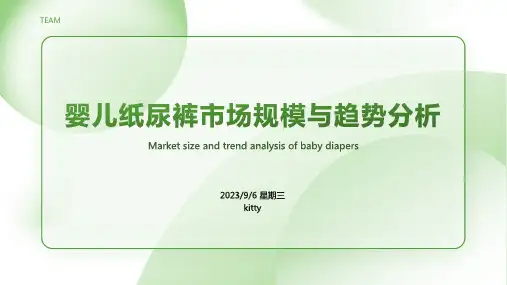 2023年国内婴儿纸尿裤市场分析模板