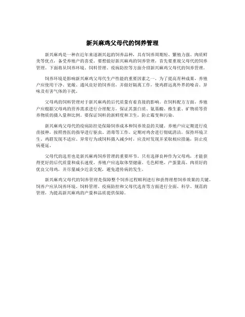 新兴麻鸡父母代的饲养管理