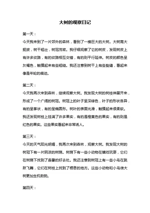 大树的观察日记