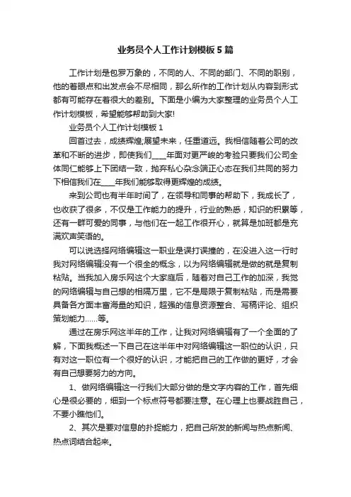 业务员个人工作计划模板5篇