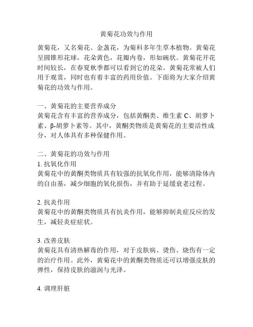 黄菊花功效与作用