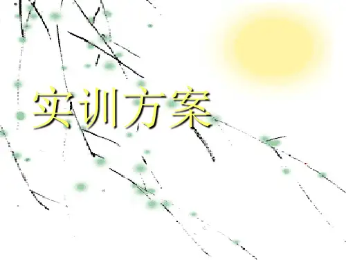 阿司匹林制备及制剂  实训方案
