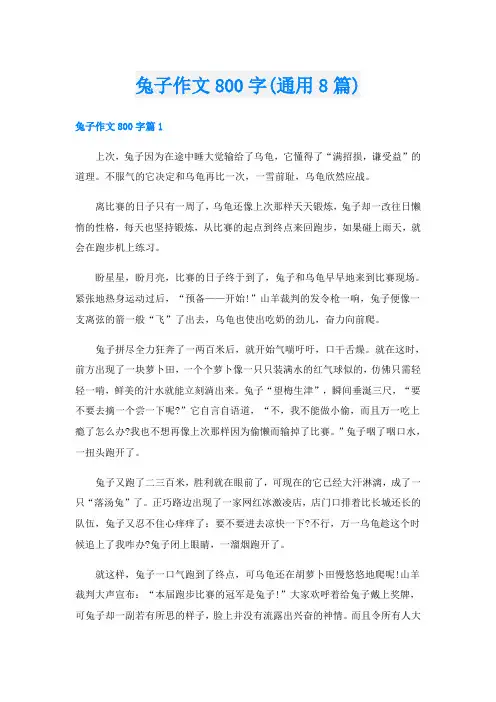 兔子作文800字(通用8篇)