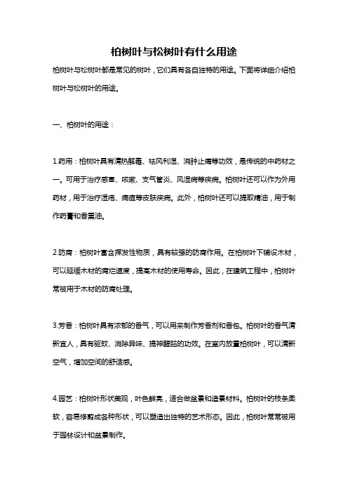 柏树叶与松树叶有什么用途