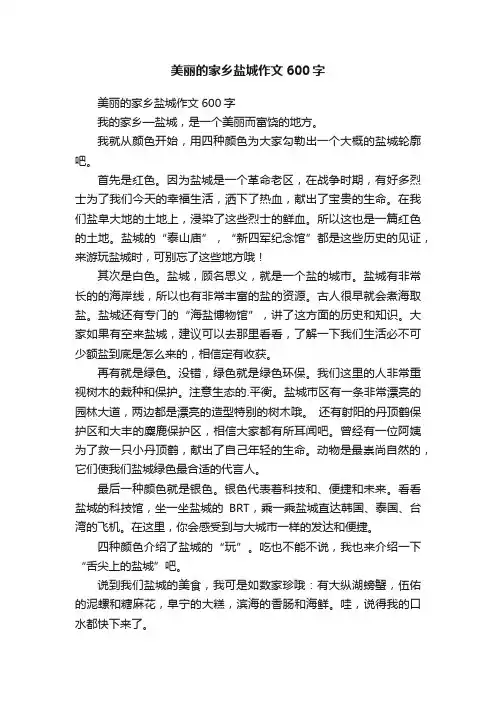 美丽的家乡盐城作文600字