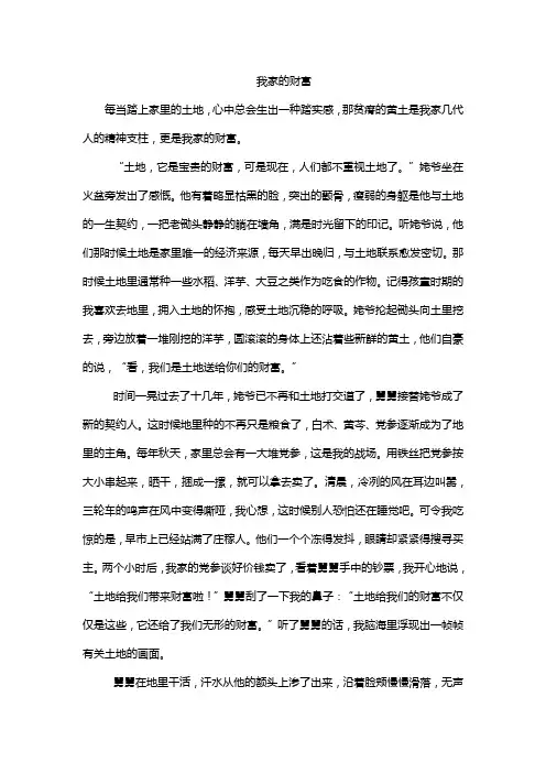 我家的财富