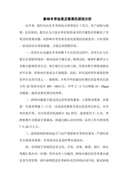 影响冬枣坐果及落果的原因分析
