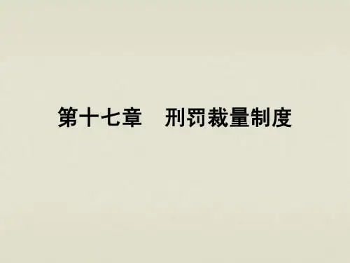 第17章 刑罚裁量制度